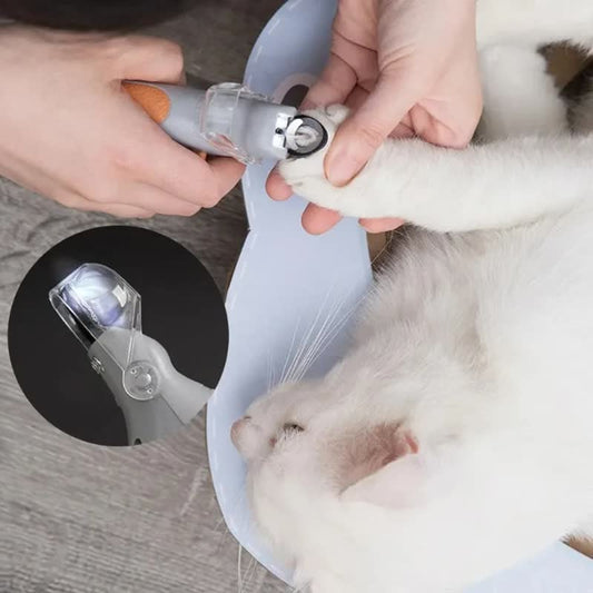 Grooming Kit