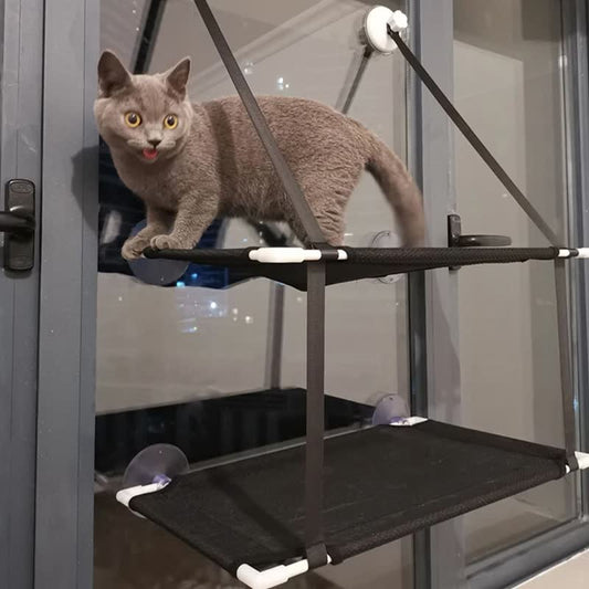 Double window hammock