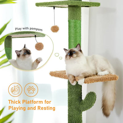 Floor-to-ceiling cactus tree