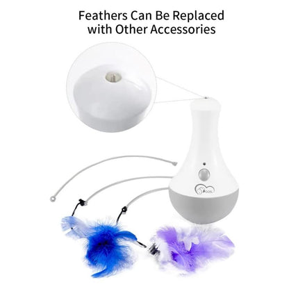 Automatic feather teaser