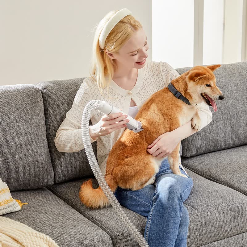 Grooming vacuum kit