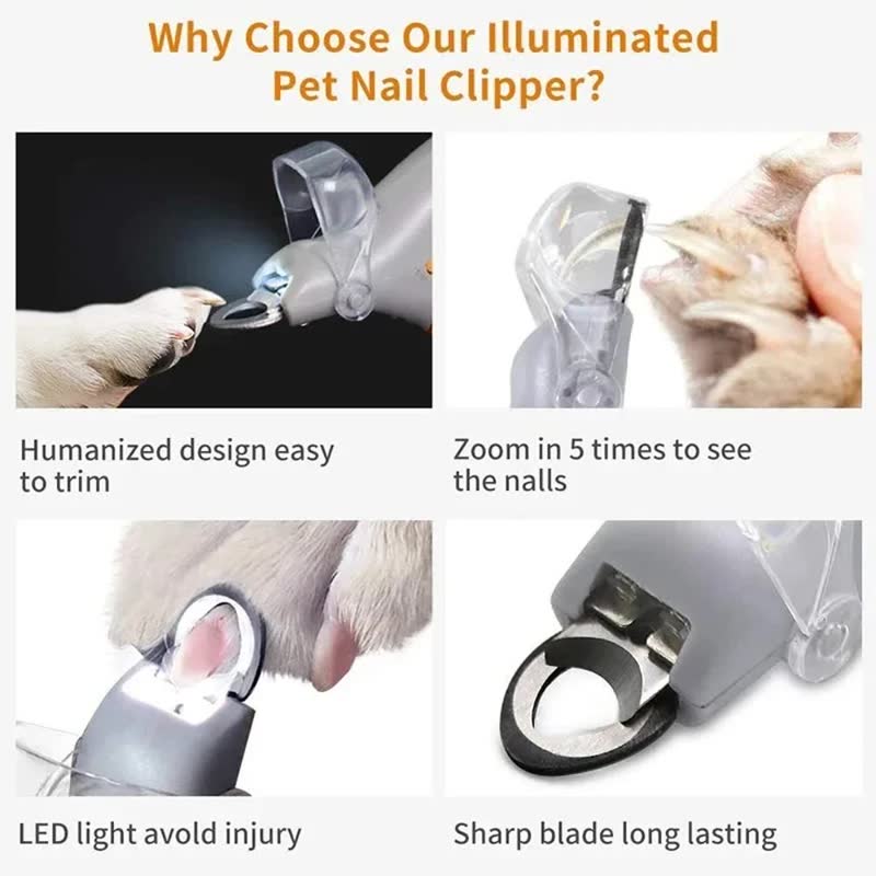 LED nail clipper with magnifier