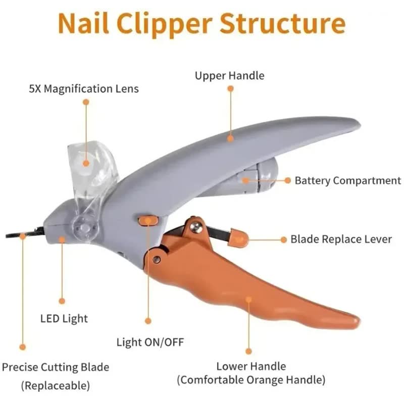 LED nail clipper with magnifier