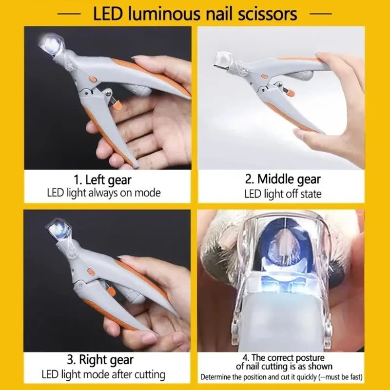 LED nail clipper with magnifier