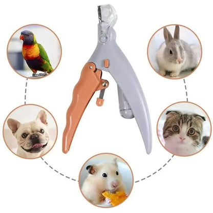 LED nail clipper with magnifier