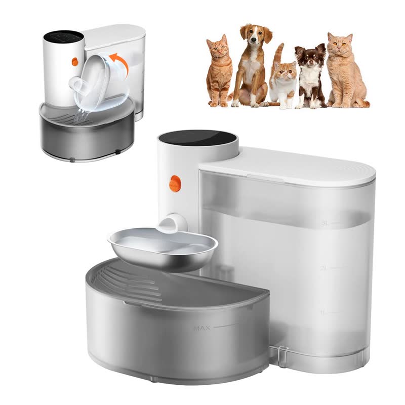 Whole-Cat Bundle