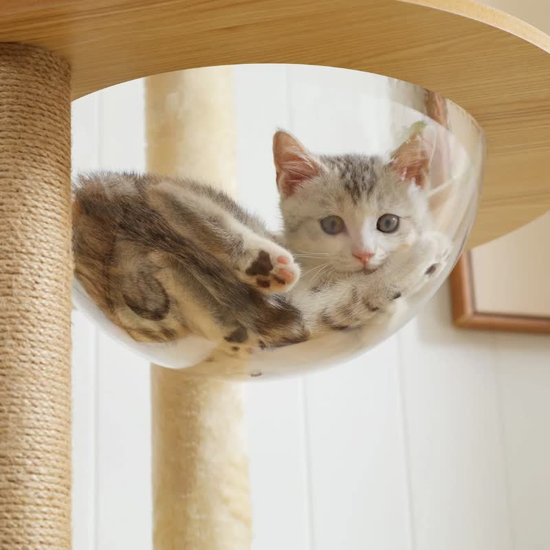 Solid wood cat tree